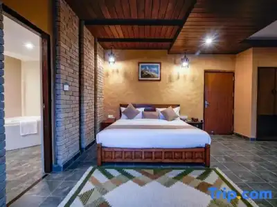 Bar Peepal Resort - 135