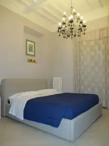 Guest house Allegra Toscana - Affittacamere Guest house - 105