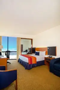 Guadalajara Plaza Expo Business Class - 41