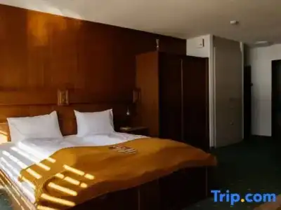 Grichting & Serviced Apartments - 50
