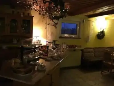 Pension Hubertushof Freiberg - 11