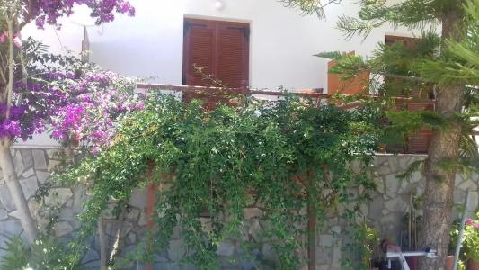 Maistrali - 110