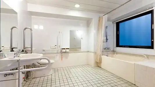 Toyoko Inn Tokyo Tameike-sanno-eki Kantei Minami - 80
