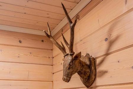 Saimaa Life Apartments - 174