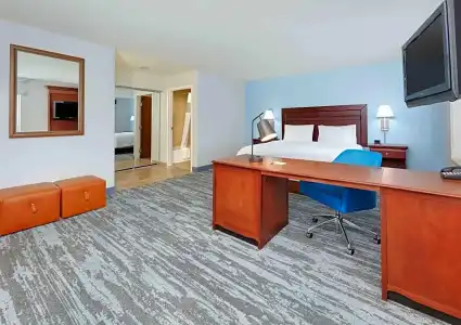 Hampton Inn & Suites Dallas-Arlington-South - 56