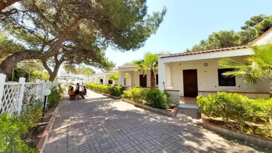 Villaggio Camping Oasi - 35
