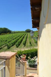 Tenuta Pizzogallo - 36