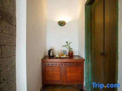 Alam Puri Art Museum and Villas - 141