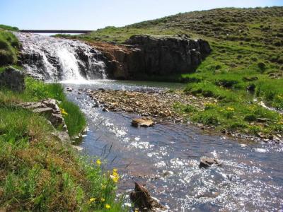 Skyggnir Bed and Breakfast - 2