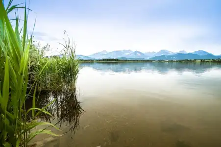 Am Hopfensee - 20