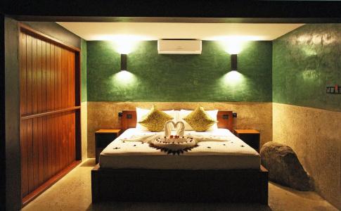 Aarunya Nature Resort &  Spa - 3