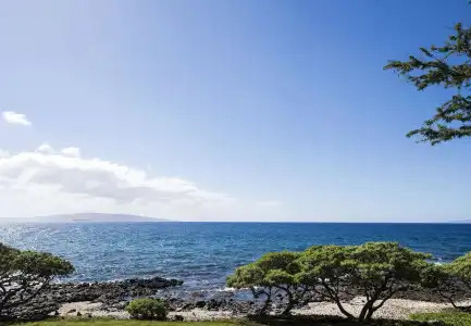 Wailea Beach Resort - Marriott, Maui - 20