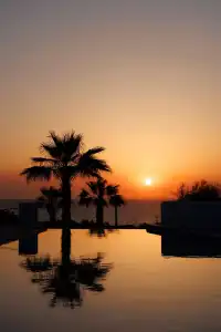 Desiterra Resort - 223