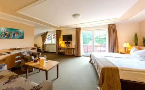 Ströbinger Hof - Therme Wellness Resort - 68