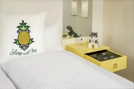 Staypineapple, A Delightful, South End - 41