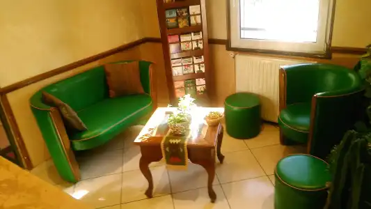Hôtel Cactus - 10