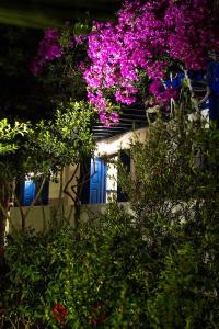 Mathios - 251