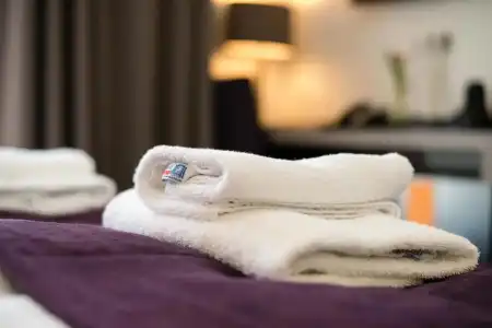 Goethe Business by Trip Inn - 26