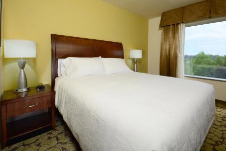 Hilton Garden Inn Greensboro Airport - 133