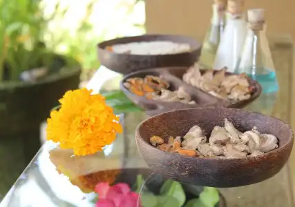 The Sungu Resort & Spa - 7