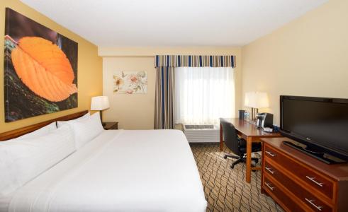 Holiday Inn & Suites Chicago - Downtown by IHG - 48