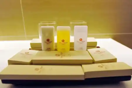 Dara Airport City & Spa - 108