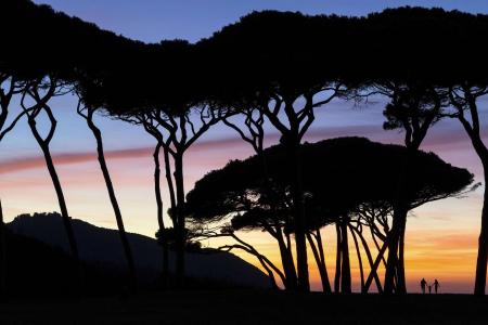 The Sense Experience Resort - Preferreds & Resorts - 21