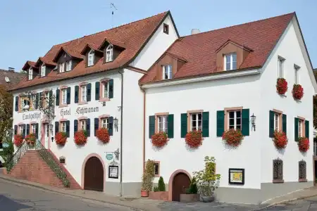 Flair Schwanen - 0