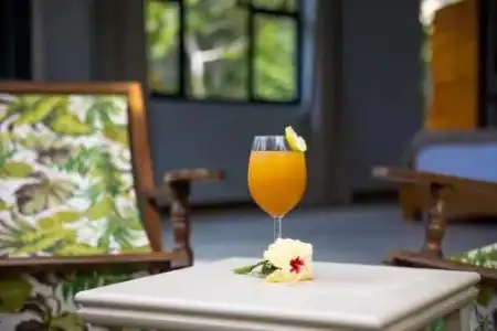 Domaine Desaubin Luxury Villas - 14