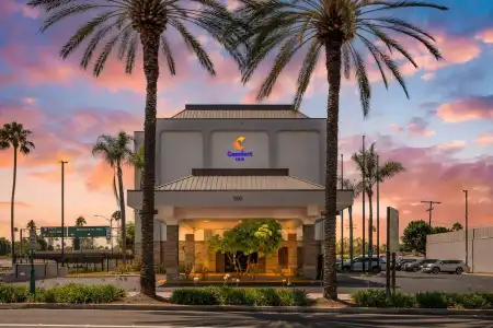 Comfort Inn Anaheim Resort - 28