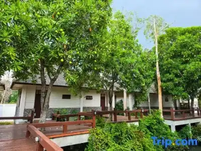 Baan Tai Had Resort - 104