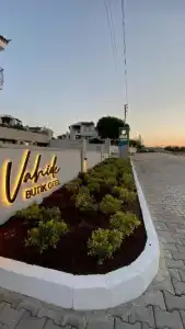 Vahide Dalyan - 17