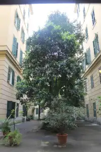 Rovati Guest House - 14