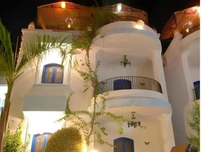 Gezira Garden - 15