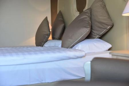 Lake Front Brenzone - 101