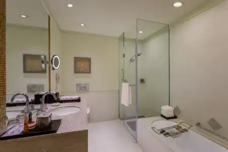 ITC Maurya, a Luxury Collection, New Delhi - 22