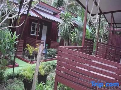 The Grand Tree Resort - 70