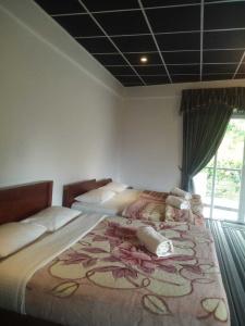 Ashley Resorts - 49