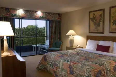 Hilton Vacation Club Polynesian Isles Kissimmee - 4