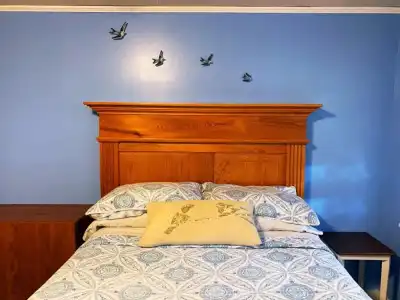 Blue Moon Guest House and Saloon - 24