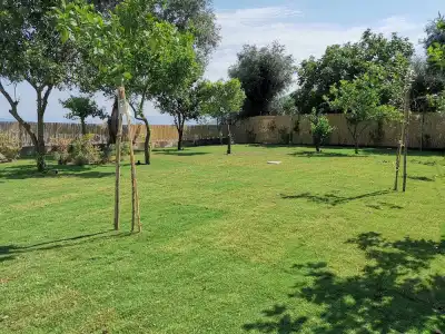 Maison Montechiaro - 19