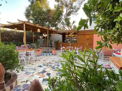 Gezira Garden - 22