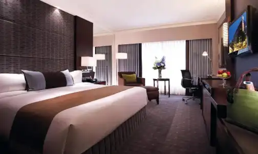 Holiday Inn Singapore Orchard City Centre by IHG - 40