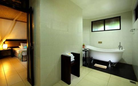 Arma Museum & Resort - 6