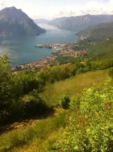 Belvedere - 16