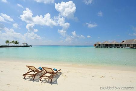 Niva Velassaru Maldives - 21