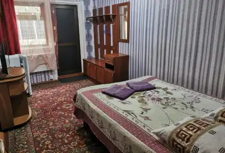Petrovskaya Pristan 2 Guest House - 29