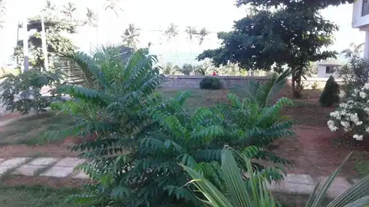 Masha Beach Inn - 5