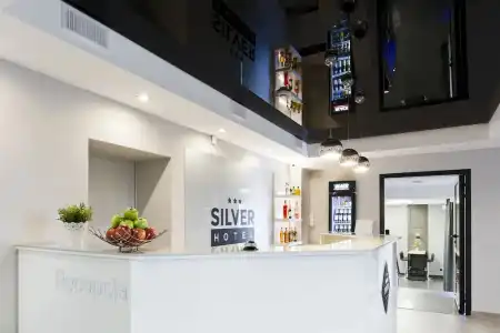Silver - 1