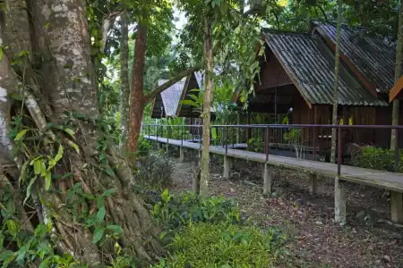 Khao Sok Riverside Cottage - 76